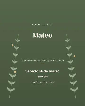 Ramitas de olivo. Ramitas de olivo sobre verde, sin rosa ni azul.